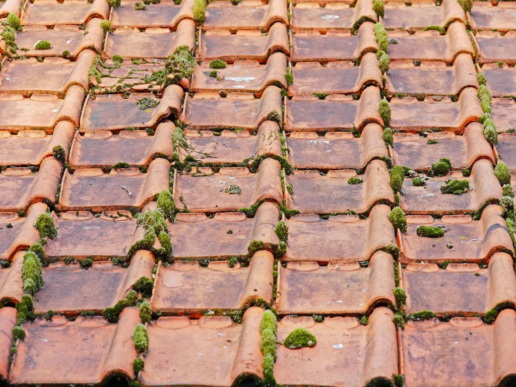 Infiltrations d'eau par la toiture