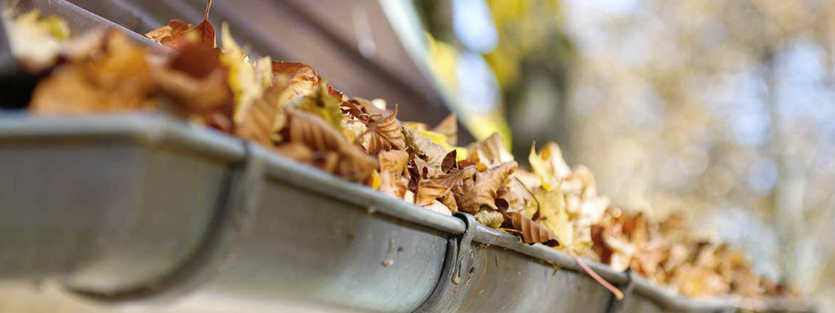 Gouttières bouchées ? Voilà comment intervenir.